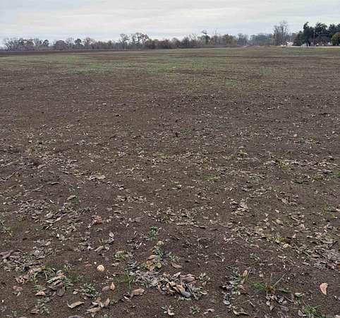 7.68 Acres of Residential Land for Sale in Lake Village, Arkansas