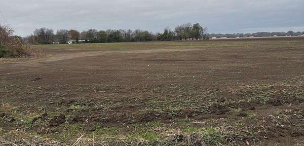7.68 Acres of Residential Land for Sale in Lake Village, Arkansas