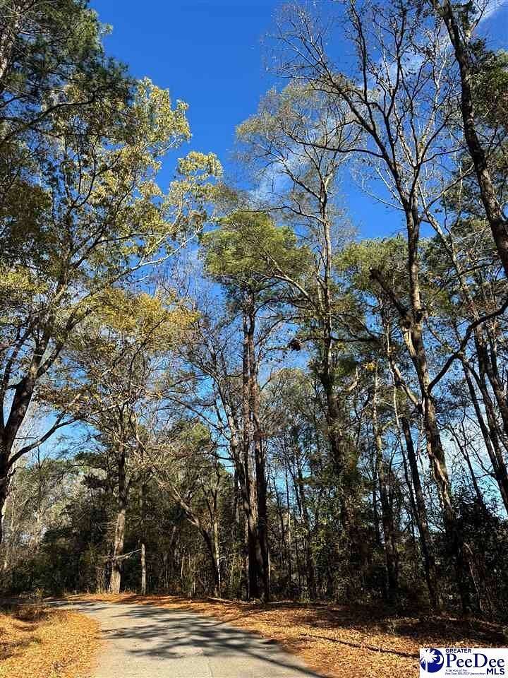 2.2 Acres of Residential Land for Sale in Society Hill, South Carolina