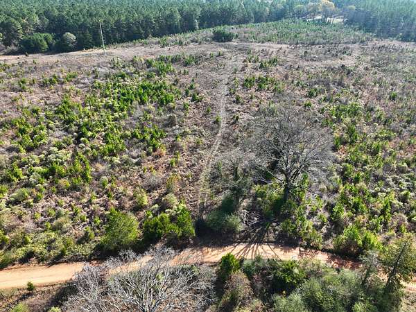 33 Acres of Land for Sale in Atlanta, Texas