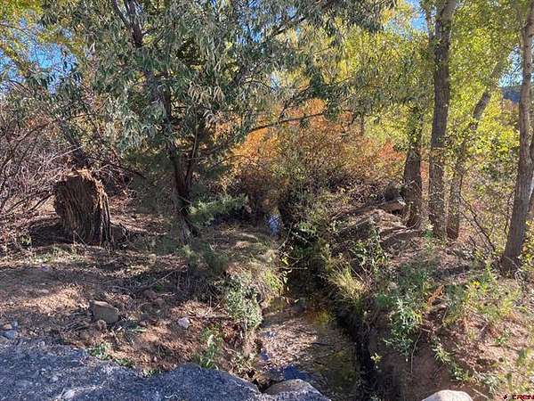 0.51 Acres of Residential Land for Sale in Cedaredge, Colorado