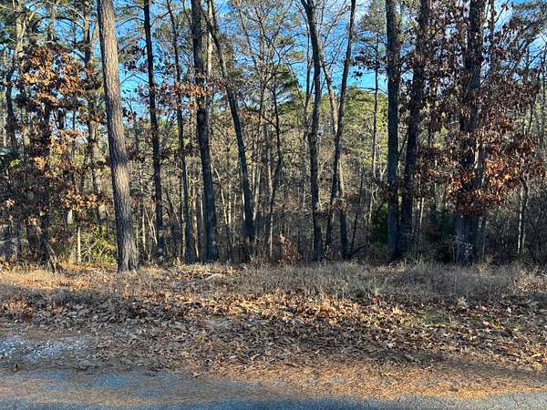 0.31 Acres of Residential Land for Sale in Bella Vista, Arkansas