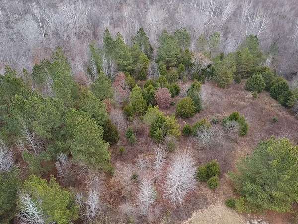4.3 Acres of Agricultural Land for Sale in South Boston, Virginia
