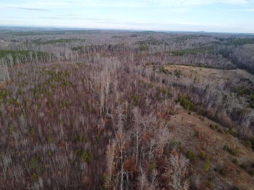 60.4 Acres of Land for Sale in Meherrin, Virginia