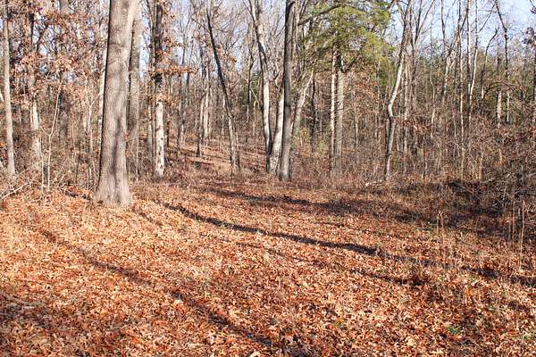 11.6 Acres of Land for Sale in Osceola, Missouri