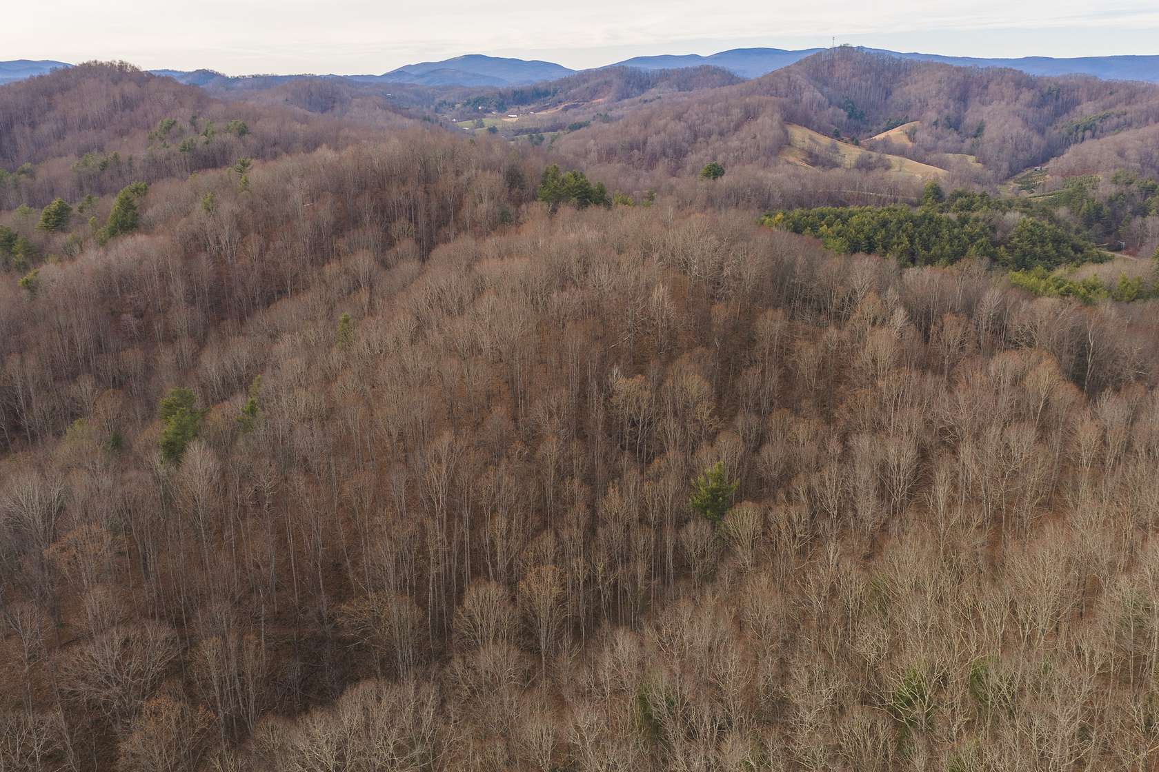 34.1 Acres of Recreational Land & Farm for Sale in Lansing, North Carolina