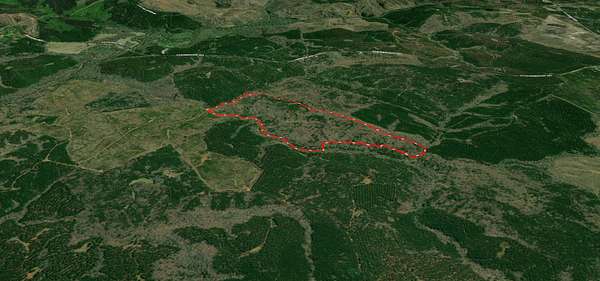 120 Acres of Recreational Land for Sale in Kershaw, South Carolina