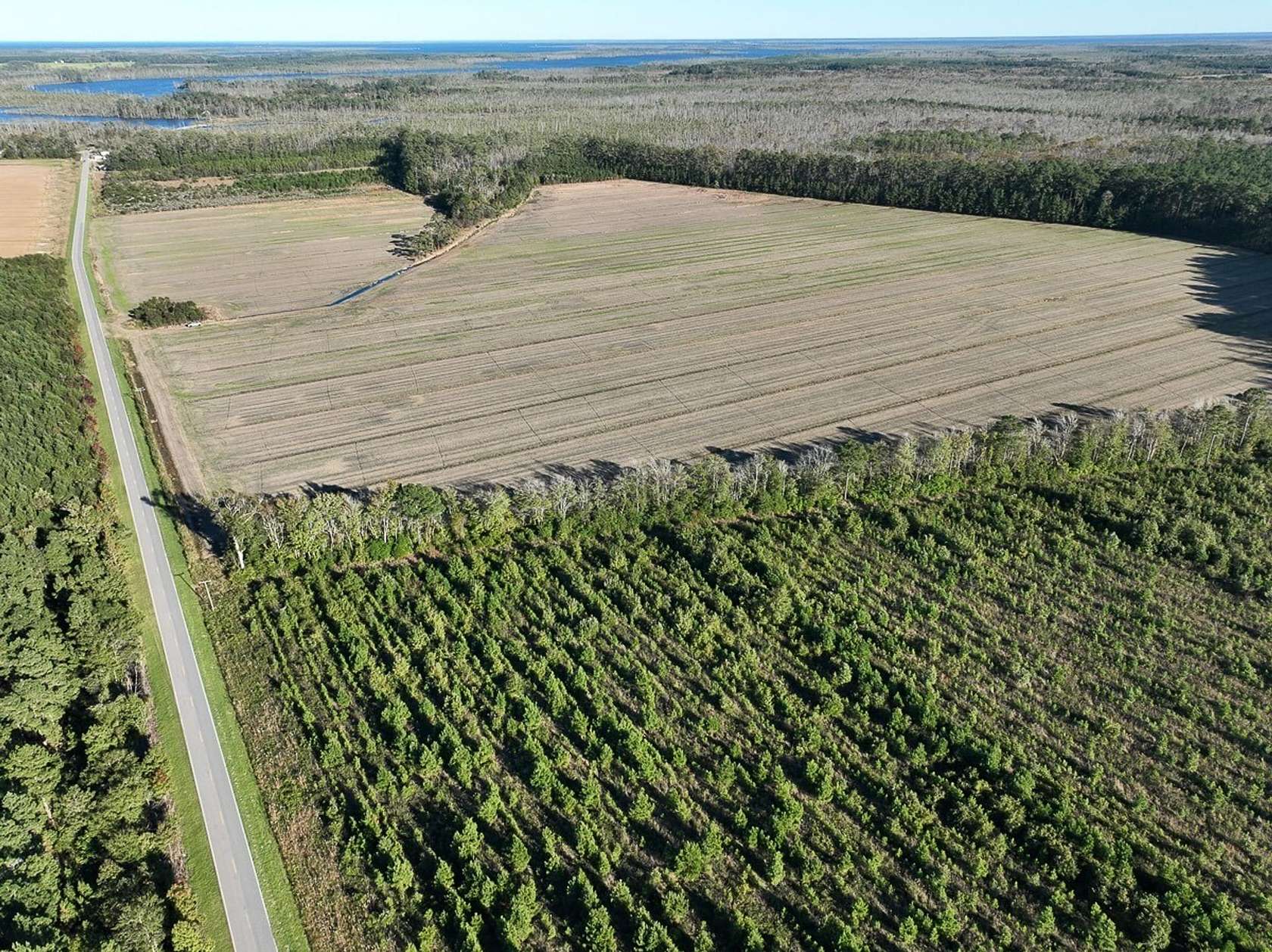 156 Acres of Land for Sale in Columbia, North Carolina