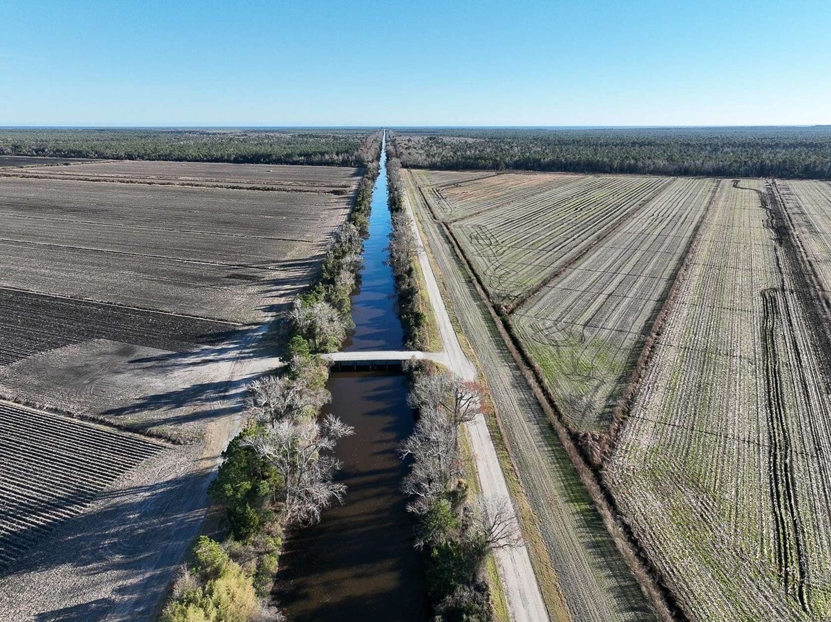 415 Acres of Land for Sale in Swan Quarter, North Carolina