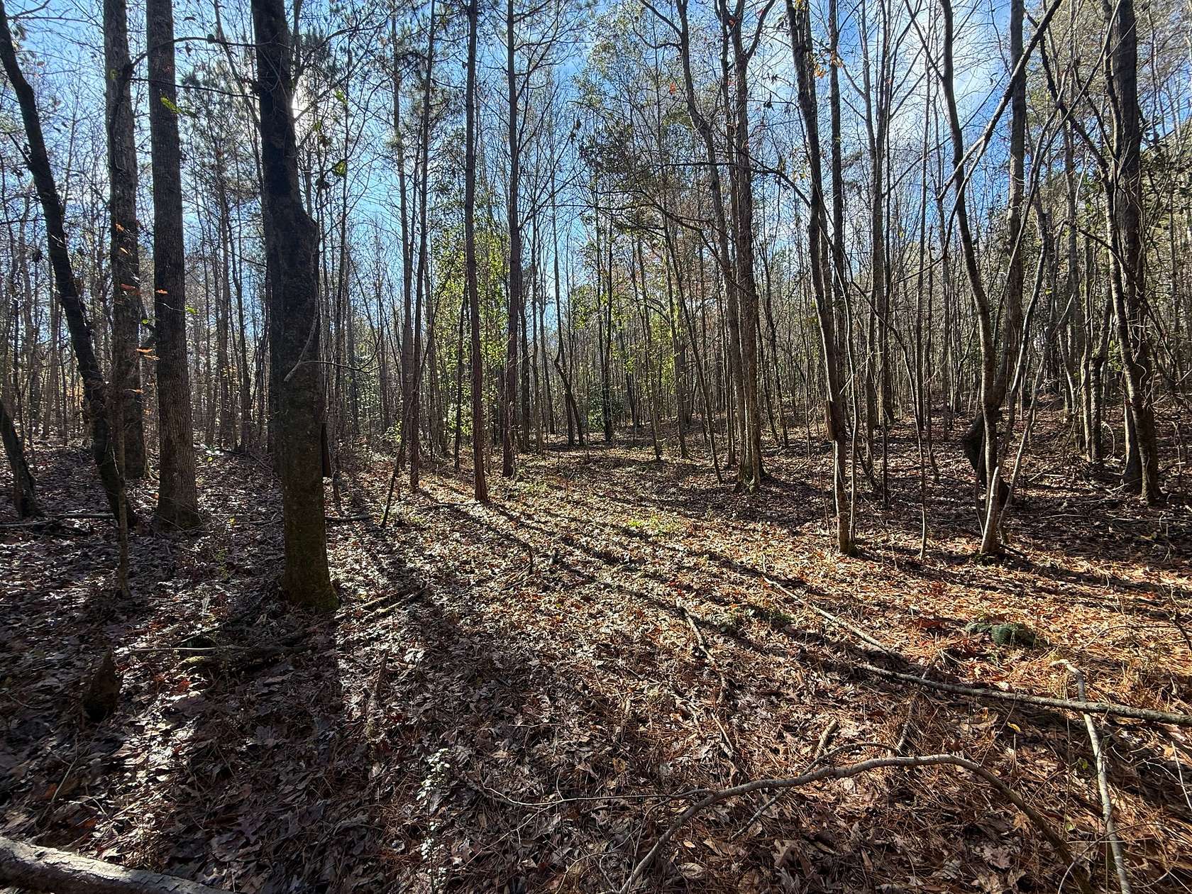 42 Acres of Agricultural Land for Sale in Kellyton, Alabama