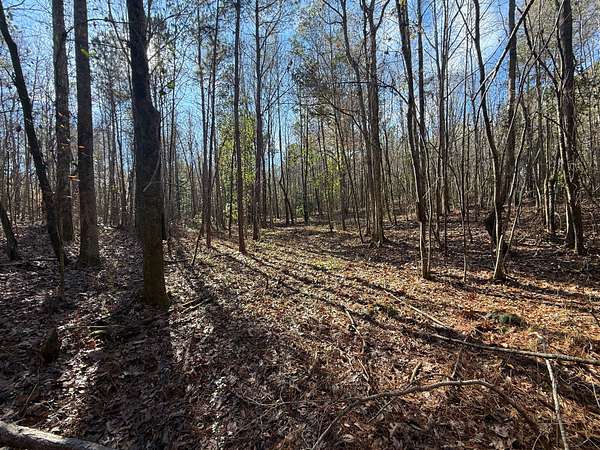 42 Acres of Agricultural Land for Sale in Kellyton, Alabama