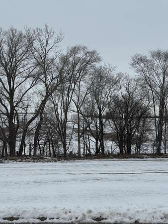 0.57 Acres of Residential Land for Sale in Woodbine, Iowa