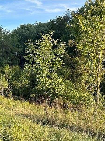 25.4 Acres of Land for Sale in California, Pennsylvania