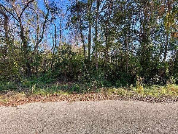 0.25 Acres of Residential Land for Sale in Picayune, Mississippi