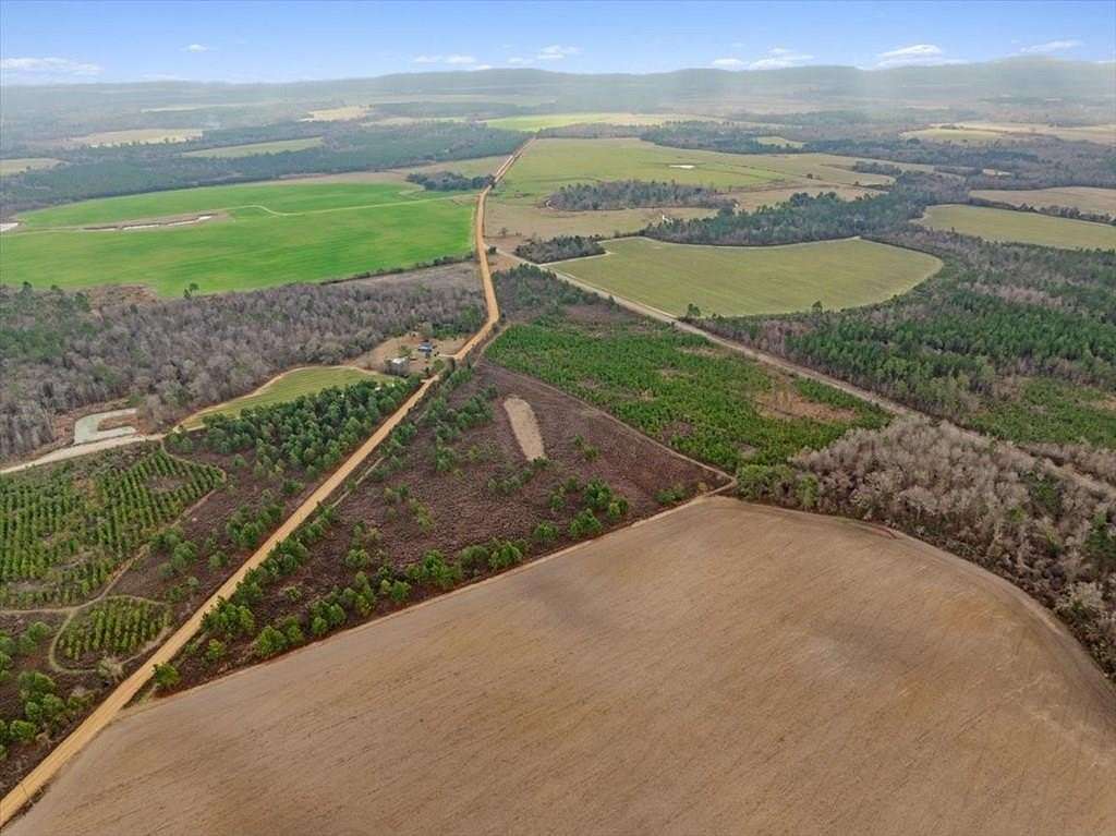 29.2 Acres of Land for Sale in Sylvester, Georgia