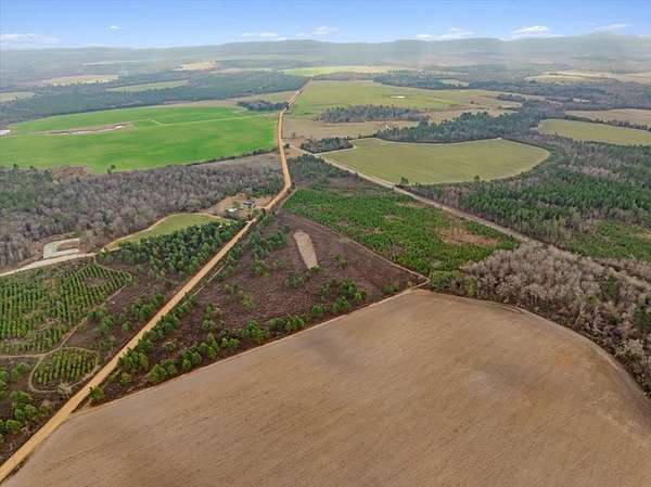 29.2 Acres of Land for Sale in Sylvester, Georgia