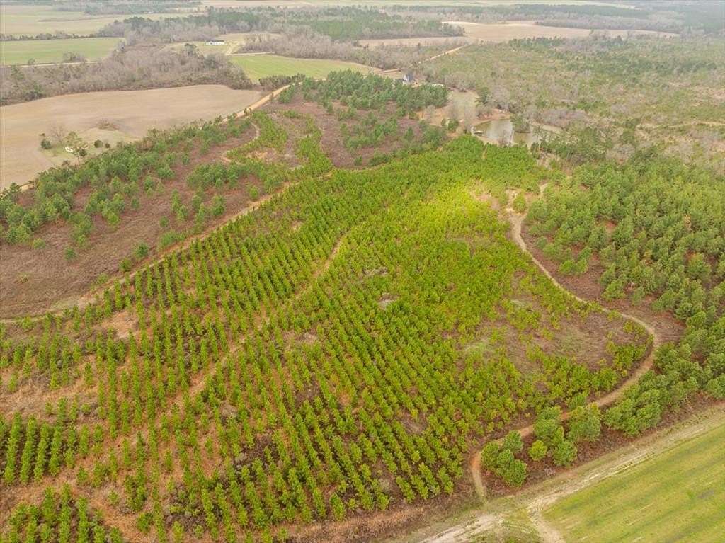 50 Acres of Land for Sale in Sylvester, Georgia