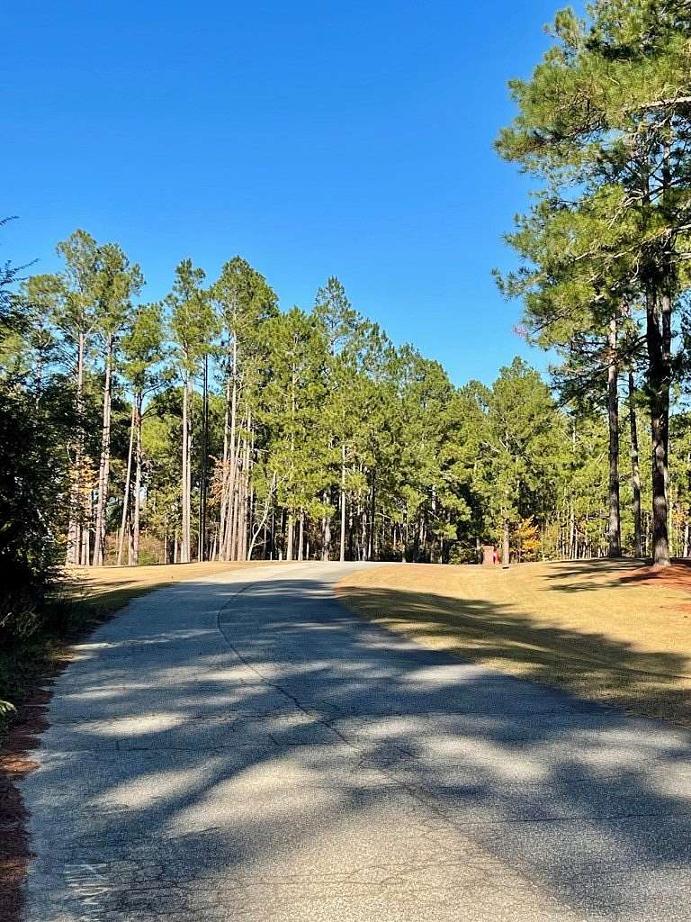2.66 Acres of Residential Land for Sale in Sylvester, Georgia