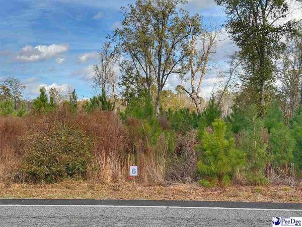 0.66 Acres of Residential Land for Sale in Latta, South Carolina
