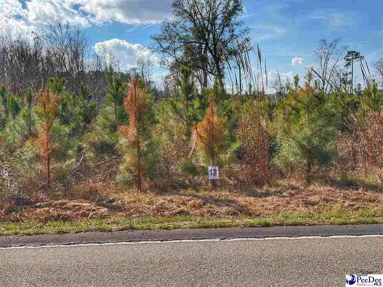 0.79 Acres of Residential Land for Sale in Latta, South Carolina