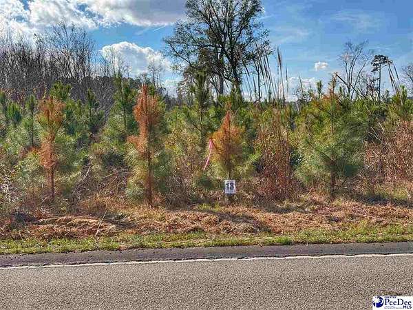0.79 Acres of Residential Land for Sale in Latta, South Carolina
