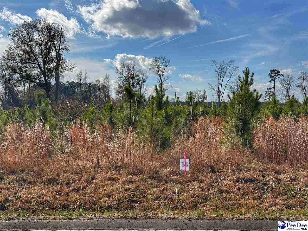 0.79 Acres of Residential Land for Sale in Latta, South Carolina