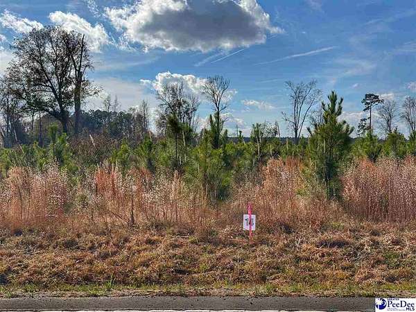 0.79 Acres of Residential Land for Sale in Latta, South Carolina
