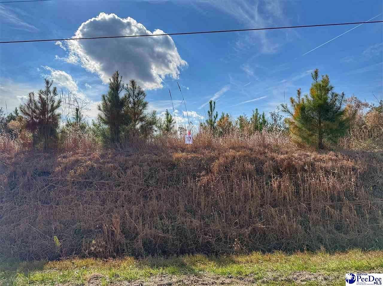 1 Acre of Residential Land for Sale in Dillon, South Carolina