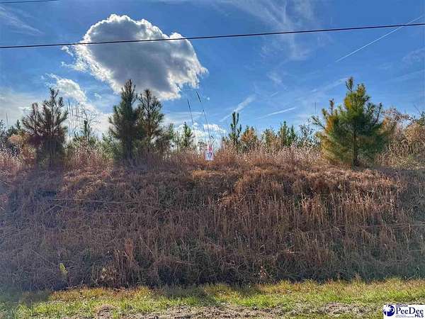 1 Acre of Residential Land for Sale in Dillon, South Carolina