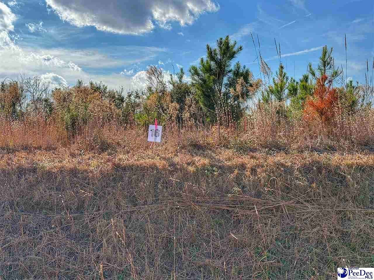 0.73 Acres of Residential Land for Sale in Latta, South Carolina