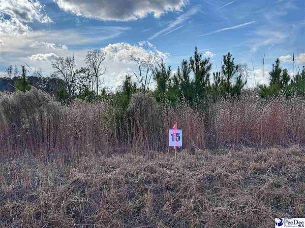0.77 Acres of Residential Land for Sale in Latta, South Carolina