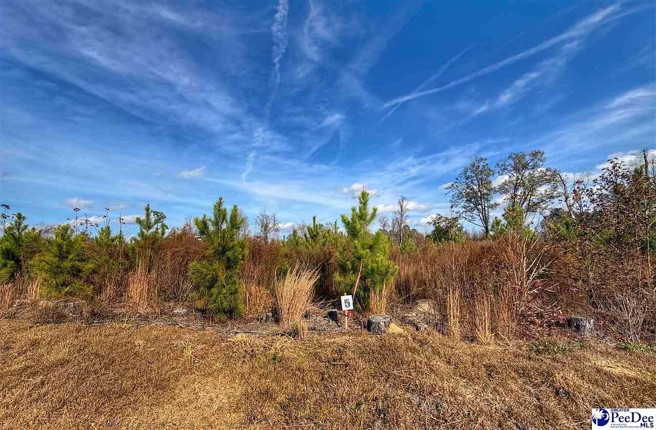 0.65 Acres of Residential Land for Sale in Latta, South Carolina
