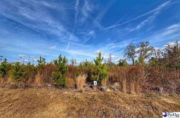 0.65 Acres of Residential Land for Sale in Latta, South Carolina