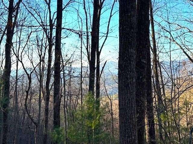 7 Acres of Residential Land for Sale in Marble, North Carolina