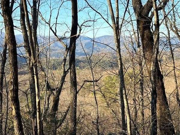 Residential Land for Sale in Marble, North Carolina