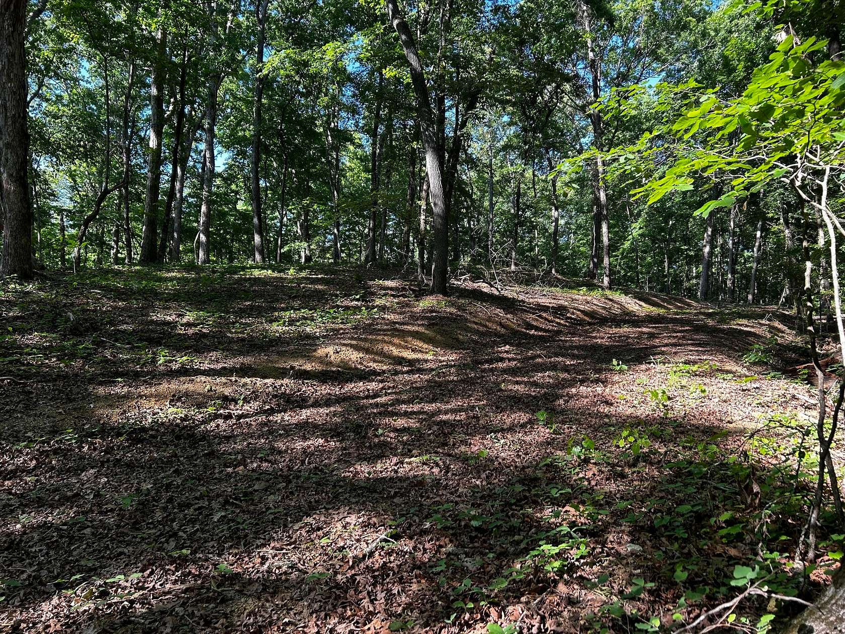 9 Acres of Residential Land for Sale in Ten Mile, Tennessee