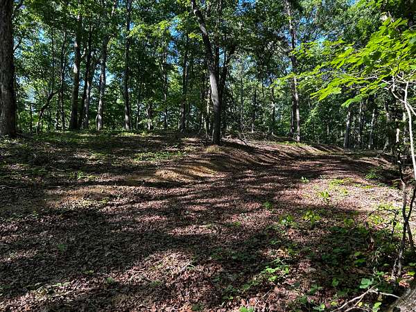 9 Acres of Residential Land for Sale in Ten Mile, Tennessee