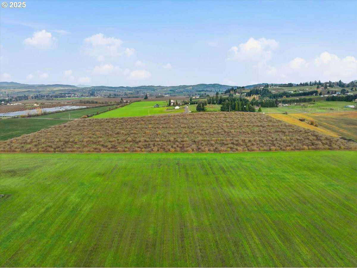39 Acres of Agricultural Land for Sale in Yamhill, Oregon