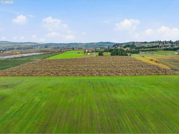 39 Acres of Agricultural Land for Sale in Yamhill, Oregon
