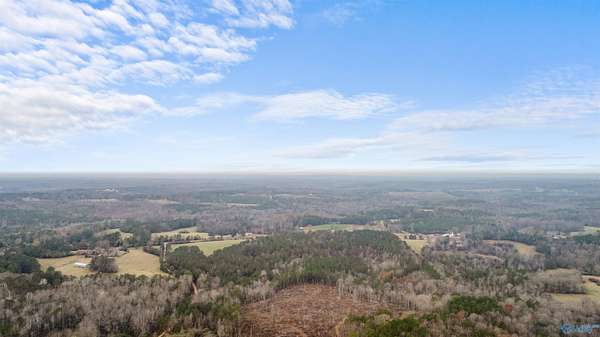 151 Acres of Recreational Land for Sale in Roanoke, Alabama