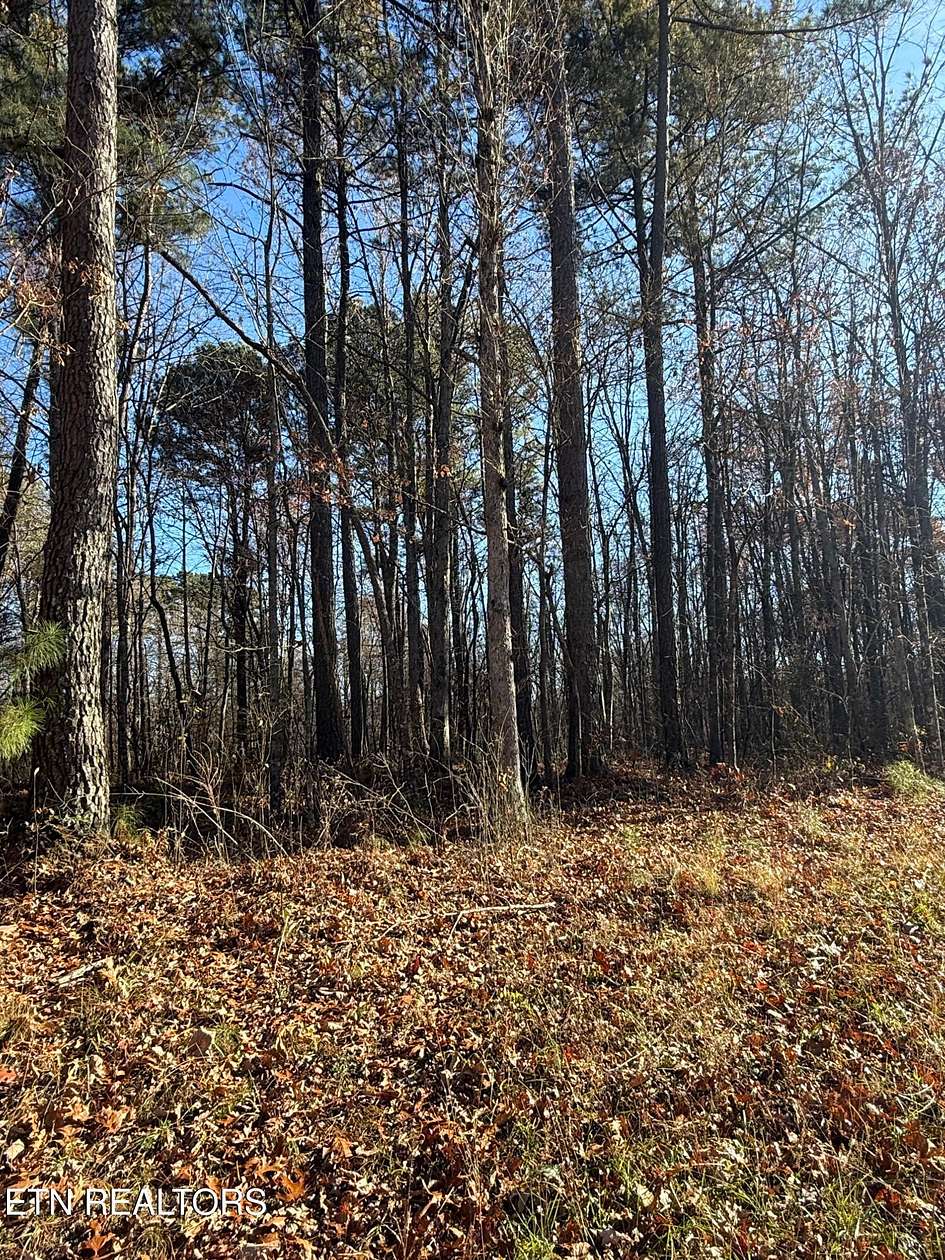 5.3 Acres of Residential Land for Sale in Monterey, Tennessee