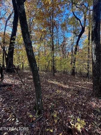 4.8 Acres of Residential Land for Sale in Monterey, Tennessee