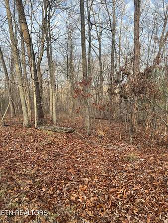0.24 Acres of Residential Land for Sale in Crossville, Tennessee