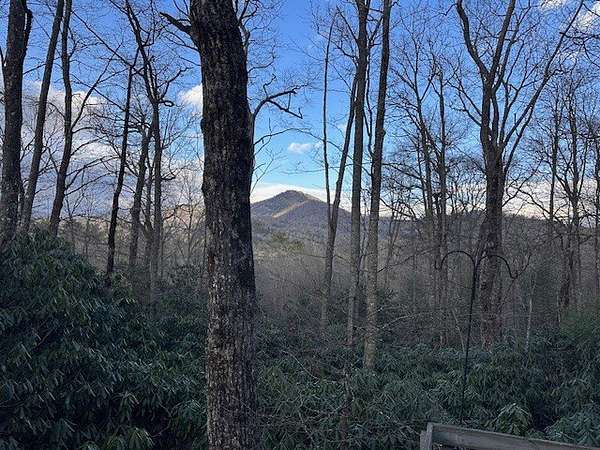 47.3 Acres of Recreational Land for Sale in Cashiers, North Carolina