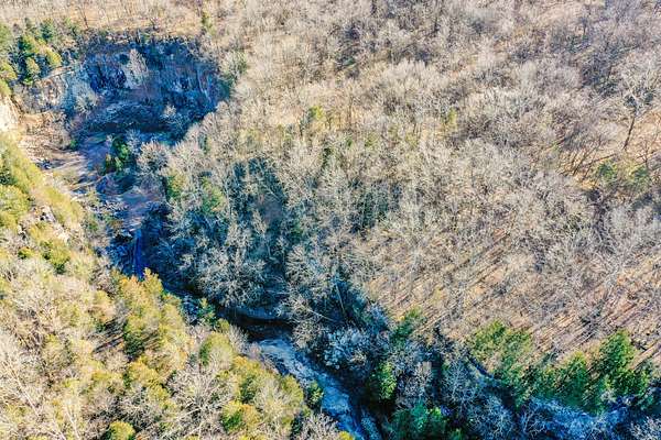 64 Acres of Recreational Land & Farm for Sale in Bethpage, Tennessee