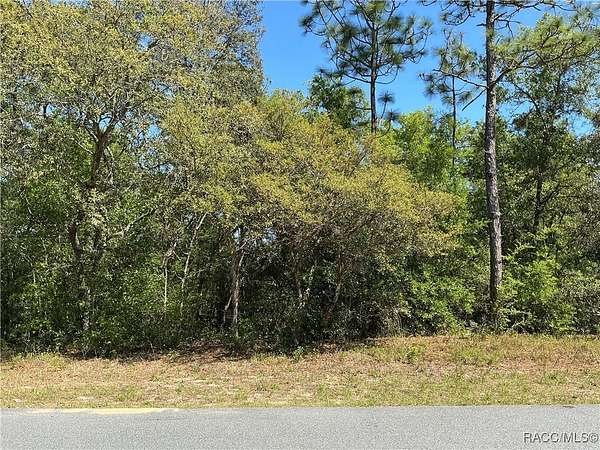 0.23 Acres of Residential Land for Sale in Citrus Springs, Florida