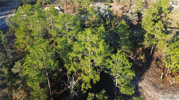 0.27 Acres of Residential Land for Sale in Citrus Springs, Florida