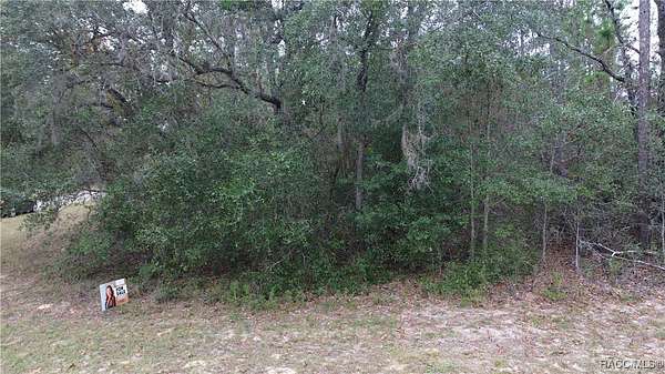 0.31 Acres of Residential Land for Sale in Citrus Springs, Florida