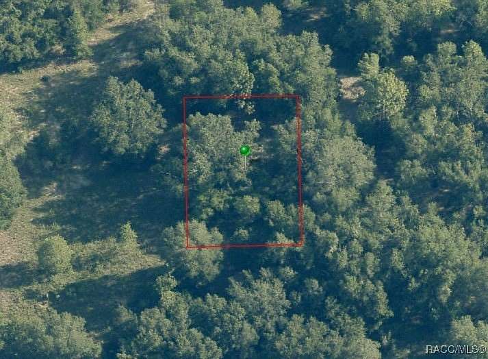 0.23 Acres of Residential Land for Sale in Inverness, Florida