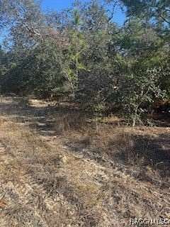 0.23 Acres of Land for Sale in Citrus Springs, Florida